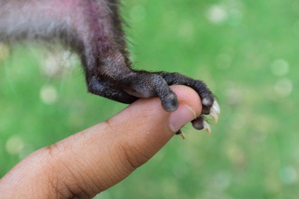 foto:Anatolij Hernandez Tkatschinski - lo hecho en México