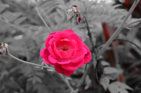 foto:JUAN CARLOS JIMENEZ BENAVIDEZ - lo hecho en México