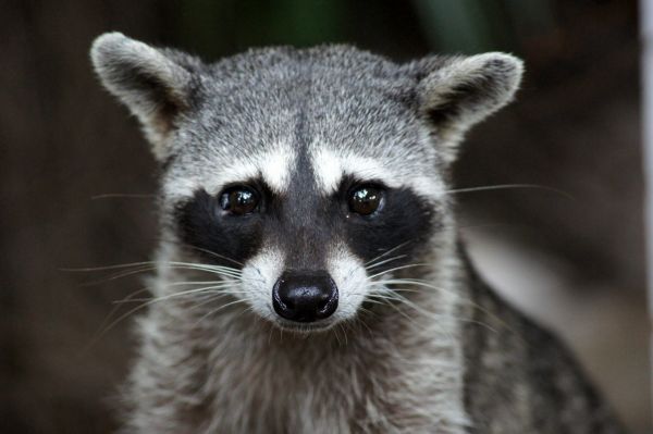 foto:Janette De León  Hernandez - lo hecho en México