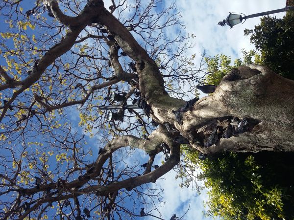 foto:Quenaini  Arévalo  Yerene  - lo hecho en México