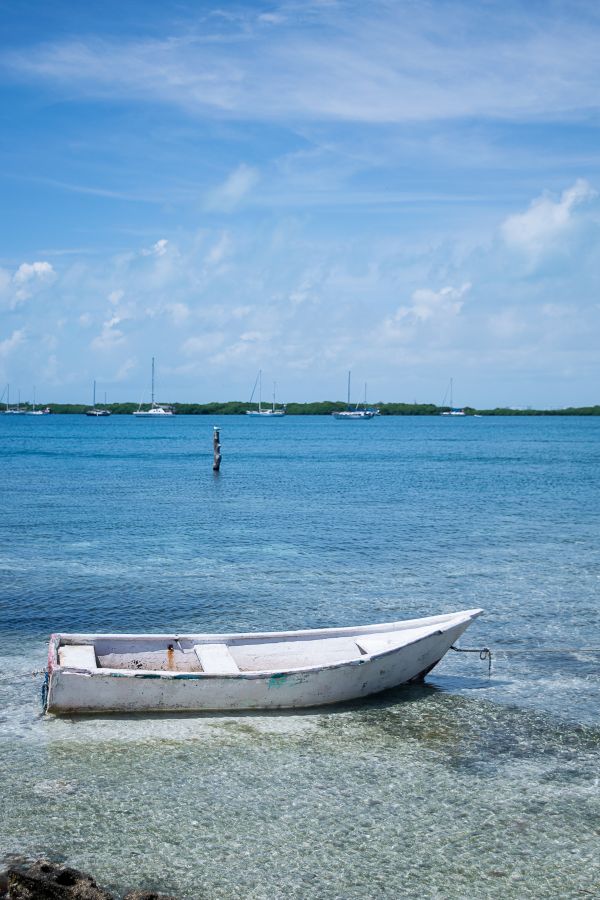 foto:Nicolas Ezequiel Dimani Maurin - lo hecho en México