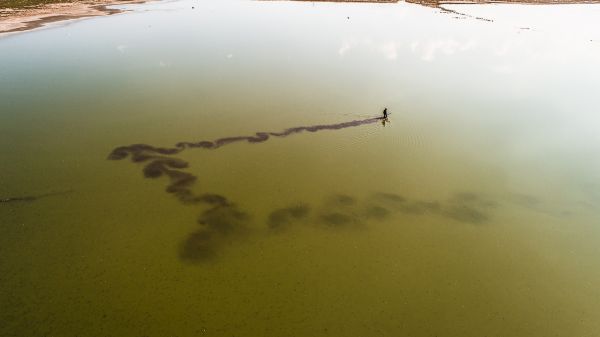 foto:Andrés Pavel Cedillo Romero - lo hecho en México