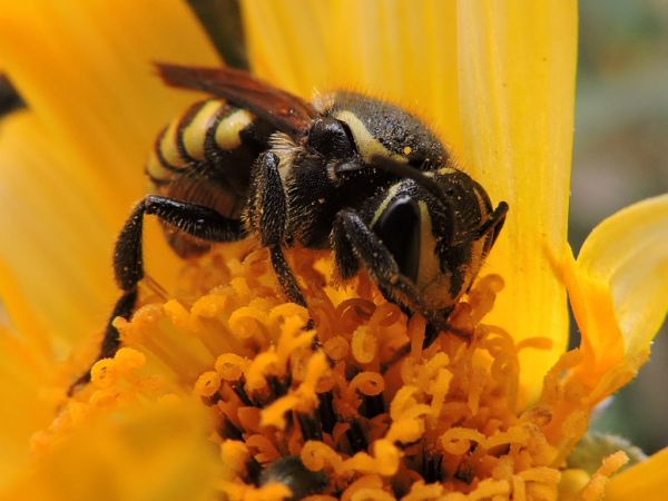foto:Jonathan German Alacio - lo hecho en México