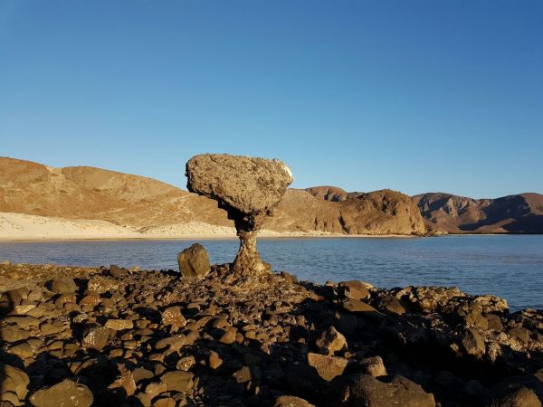 foto:Diana  Rosales Ibarra - lo hecho en México