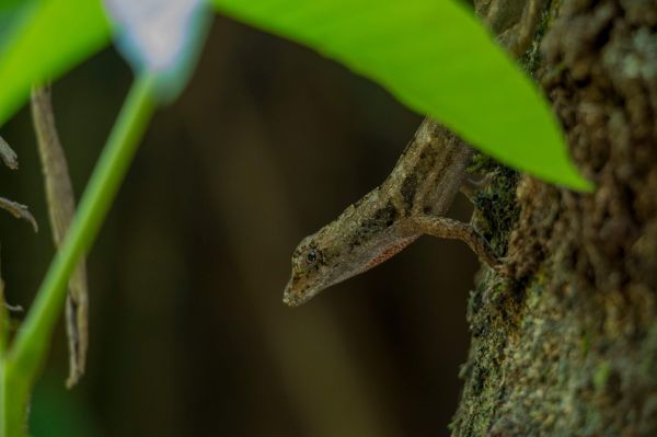foto:Mario Caudillo Mercado - lo hecho en México
