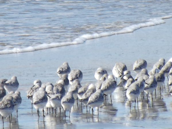 foto:joel  nuñez alvarez - lo hecho en México