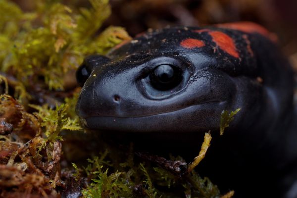 foto:Kevin Dorian Tinoco Barrera - lo hecho en México