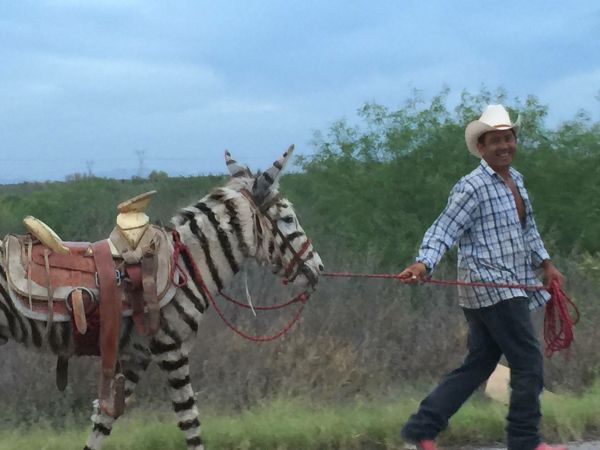 foto:Claudia  Gil Medel - lo hecho en México