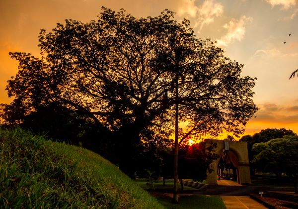 foto:Martín  López Velazquez - lo hecho en México