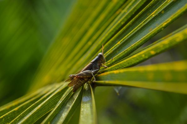 foto:Vanya Morales Serran0 - lo hecho en México