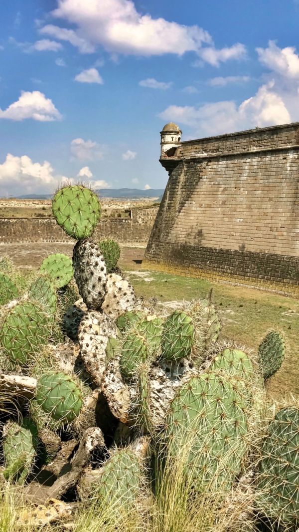 foto:Rafael Campillo Rodriguez - lo hecho en México