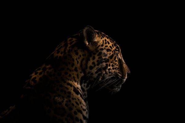 foto:iyari yaxal wong morgan - lo hecho en México