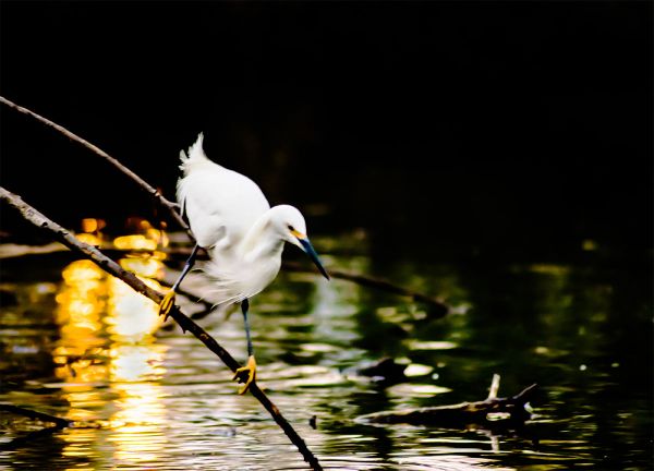 foto:Nayely Macedo Pinzón - lo hecho en México