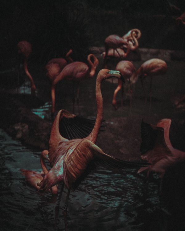 foto:Luis Alfredo Mauricio  Fuentes - lo hecho en México