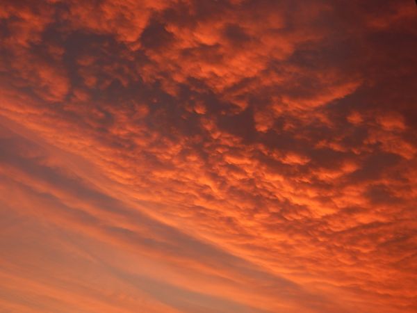 foto:María Fernanda  Sánchez Hernández - lo hecho en México