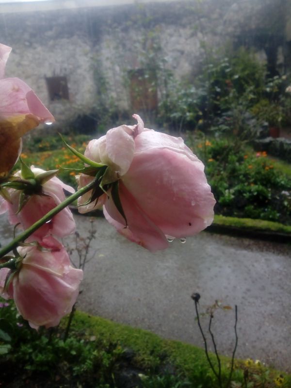 foto:Diana Audet Beltrán Anaya - lo hecho en México