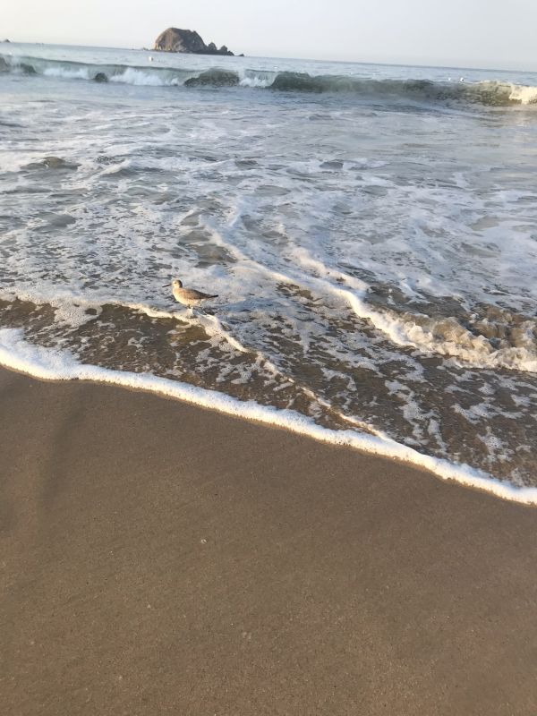 foto:Danna Alessandra Caso Cervantes - lo hecho en México