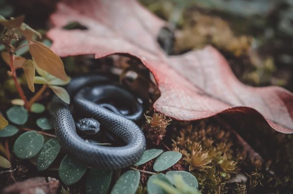 foto:José Manuel Carreón Silva - lo hecho en México