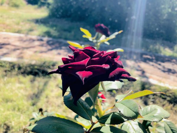 foto:Carolina Domínguez  Romo - lo hecho en México