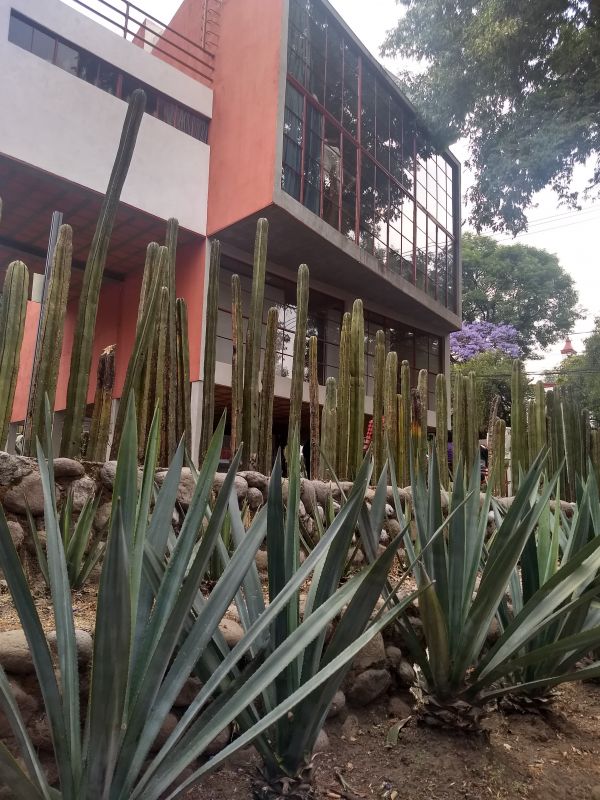 foto:Lucía haide Escobedo Aguilar - lo hecho en México