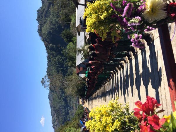 foto:Marina Navarrete Rocha  - lo hecho en México