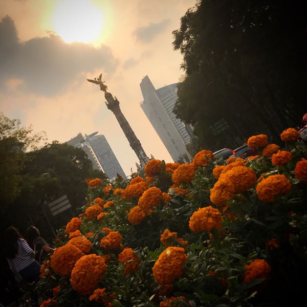 foto:Juan Jesús  Valdez Pérez  - lo hecho en México