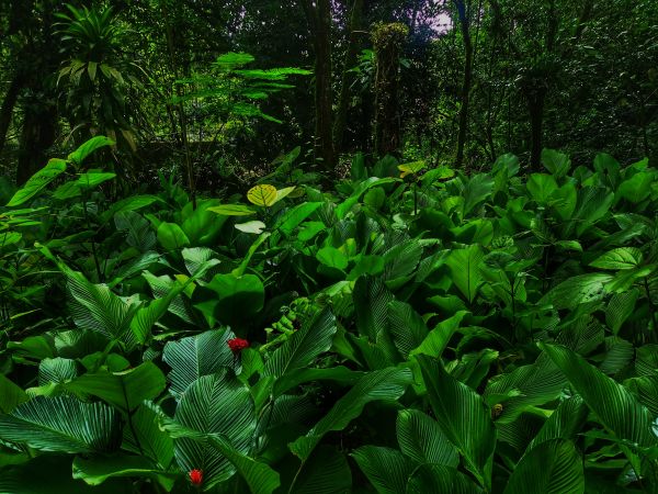 foto:Sinué Echegaray Baltazar - lo hecho en México