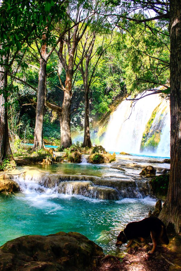 foto:Juan Ismael  Ramírez Guerrero - lo hecho en México