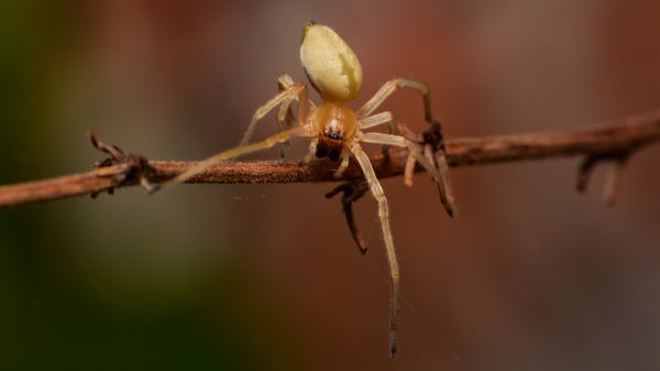 foto:Jose Omar Villanueva García - lo hecho en México