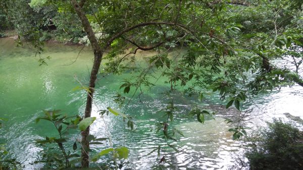 foto:Reynerio Guzmán López - lo hecho en México