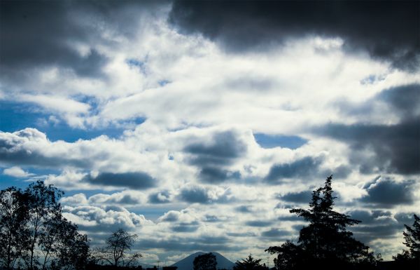 foto:Daniel Hernández Escobar  - lo hecho en México