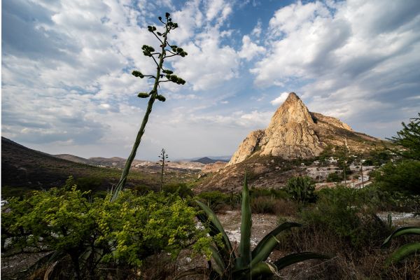 foto:Lari  Haras Uzel - lo hecho en México