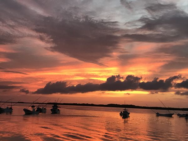 foto:Sílvia  Alcocer  Celis - lo hecho en México