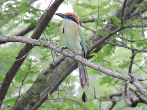 foto:Alejandra villanueva Benitez - lo hecho en México