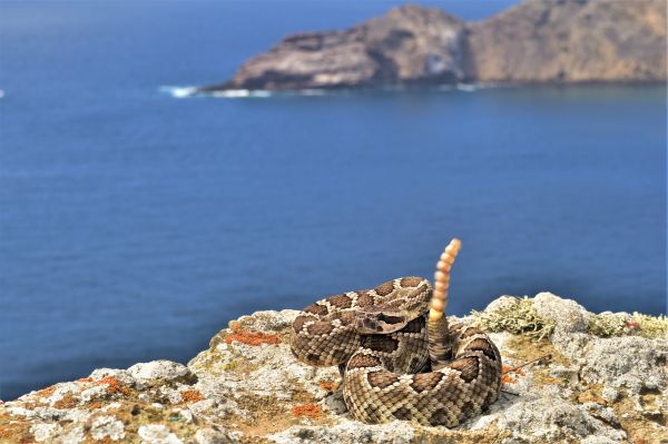 foto:Jesús Mauricio Rodríguez Canseco - lo hecho en México