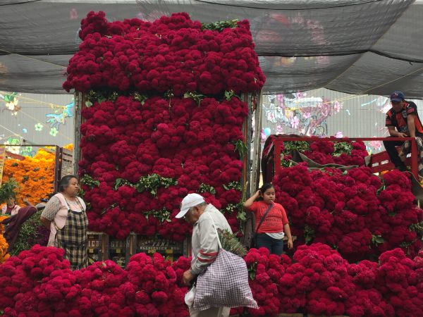 foto:Alma Carolina  Vergara Hernández  - lo hecho en México