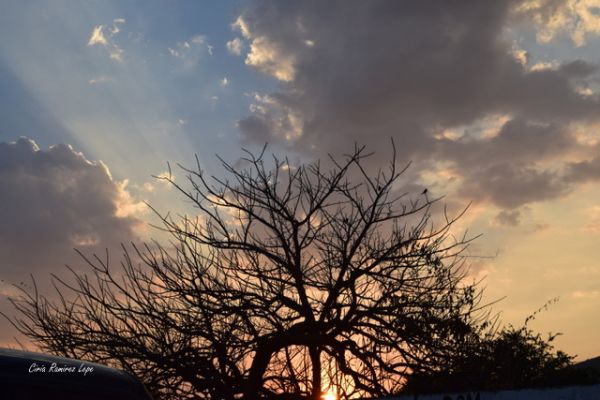 foto:Ciria  Ramirez  Lepe - lo hecho en México