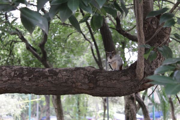 foto:Alondra  Gonzalez  Flores - lo hecho en México