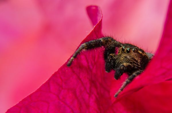foto:David Esaú  Figueroa  Pérez - lo hecho en México