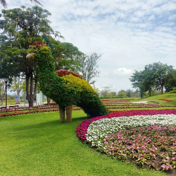 foto:KAREN González Martínez - lo hecho en México