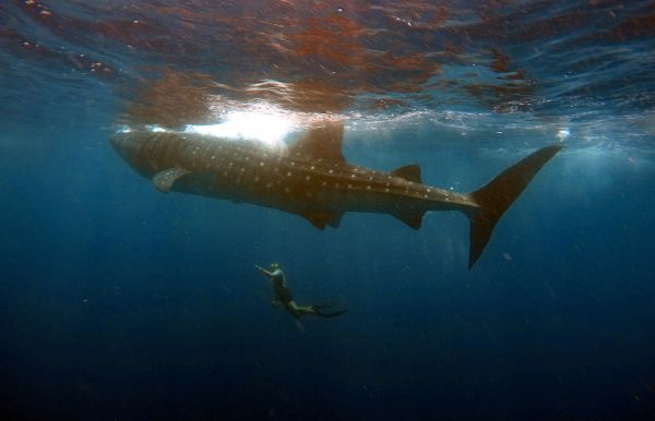 foto:raul torres Valadez - lo hecho en México