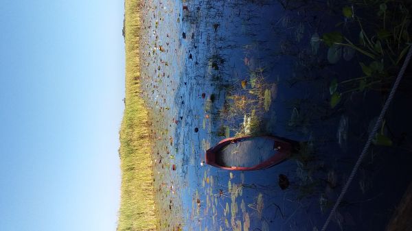 foto:Pablo Luis Mendez Castillo - lo hecho en México