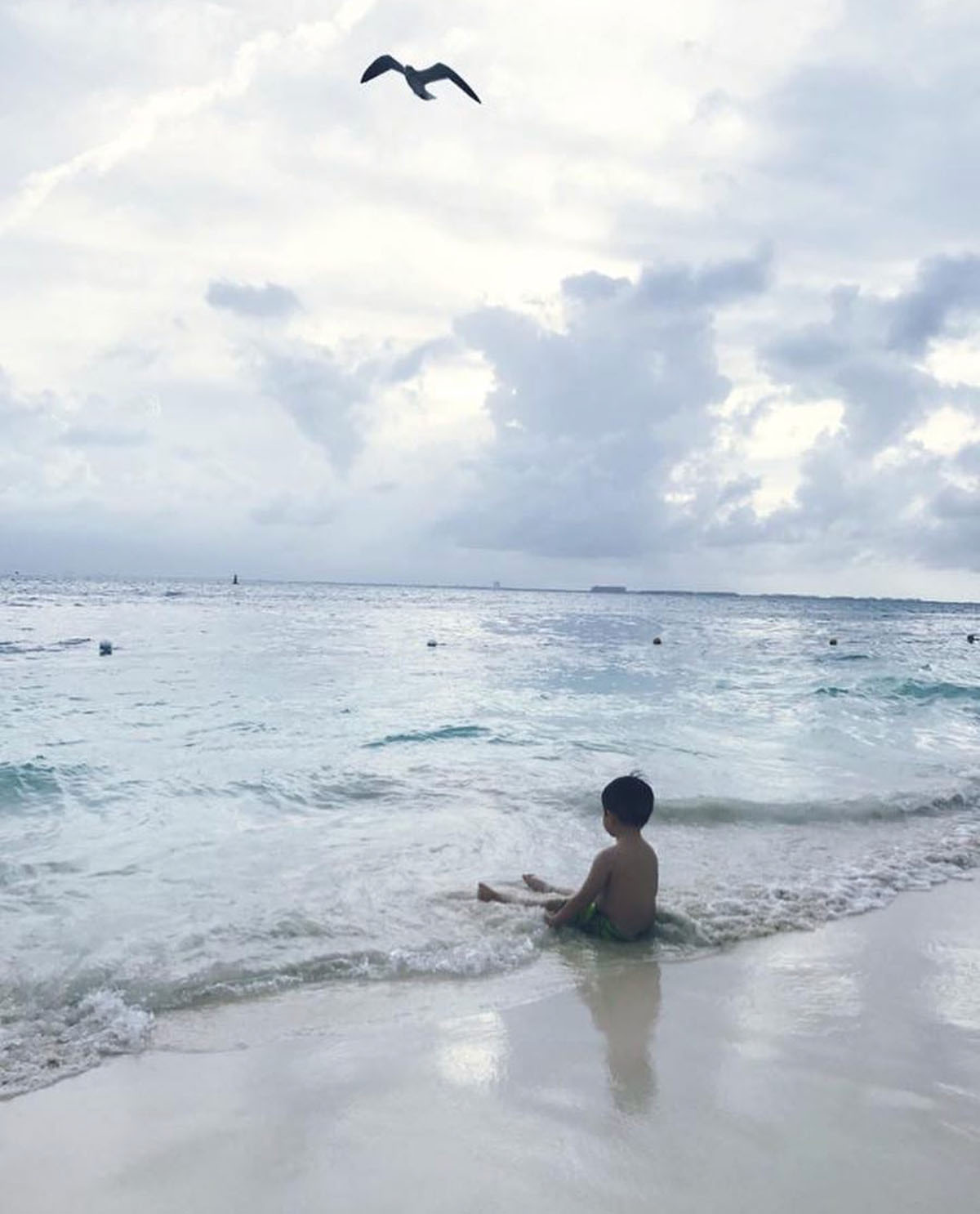 foto:Mildred Fabiola  amador  LLamas - lo hecho en México