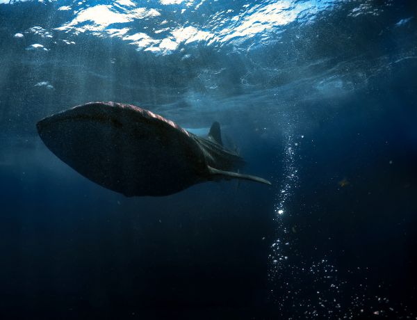 foto:raul torres Valadez - lo hecho en México