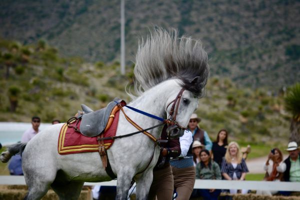 foto:Paulina Tercero Quintanilla - lo hecho en México
