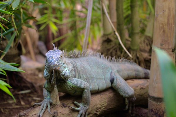 foto:Hugo Vera Jiménez - lo hecho en México