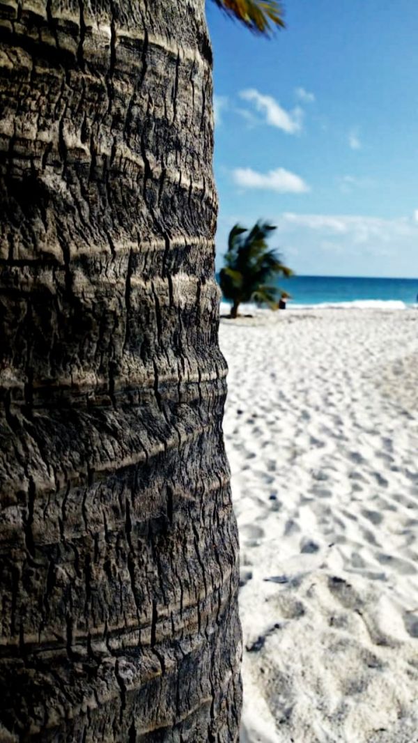 foto:Áurea Cecilia Mendoza Baltazar - lo hecho en México