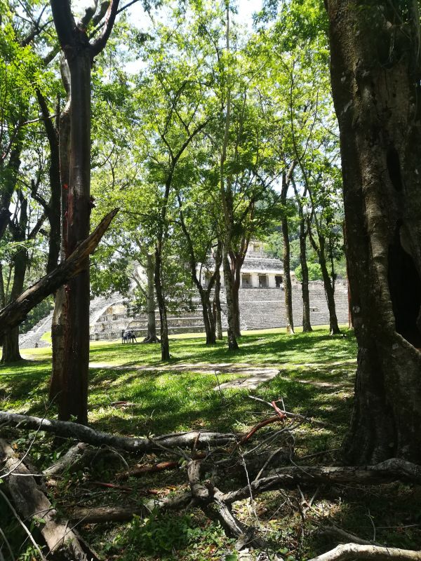 foto:Luis Omar Carrillo Luna - lo hecho en México