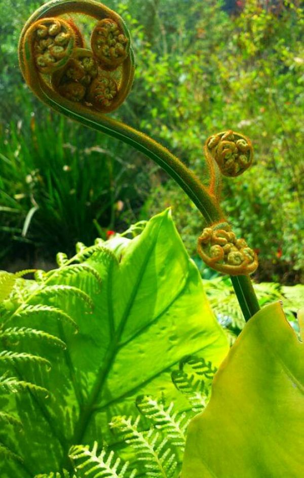 foto:Adriel Adnan Solís Trejo - lo hecho en México