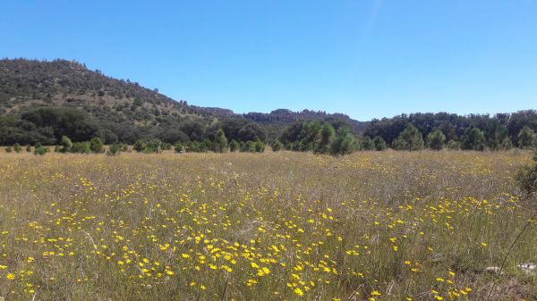 foto:Eduardo  Ostos Oluvares - lo hecho en México